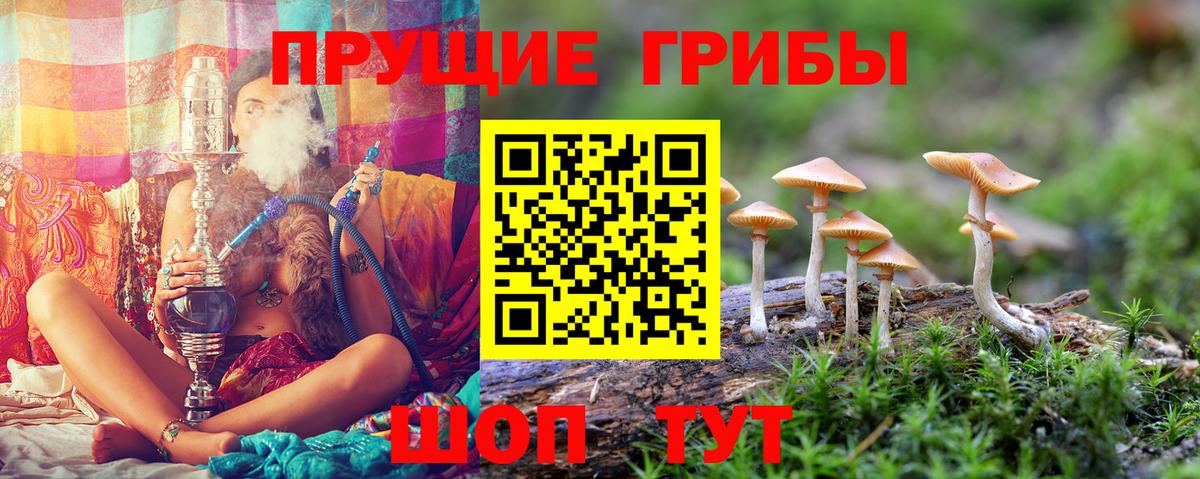 Галлюциногенные грибы GOLDEN TEACHER Ревда